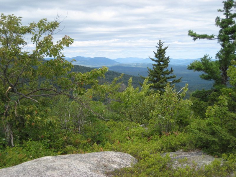 MtBayle (19).JPG - Between the trees we could see the White Mountains to the north.